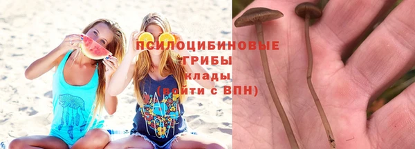стаф Волоколамск