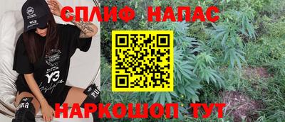 PSILOCYBIN Можга