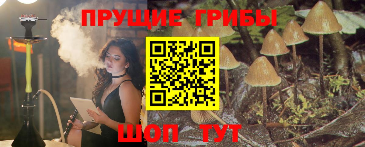 Галлюциногенные грибы Cubensis Славянск-на-Кубани